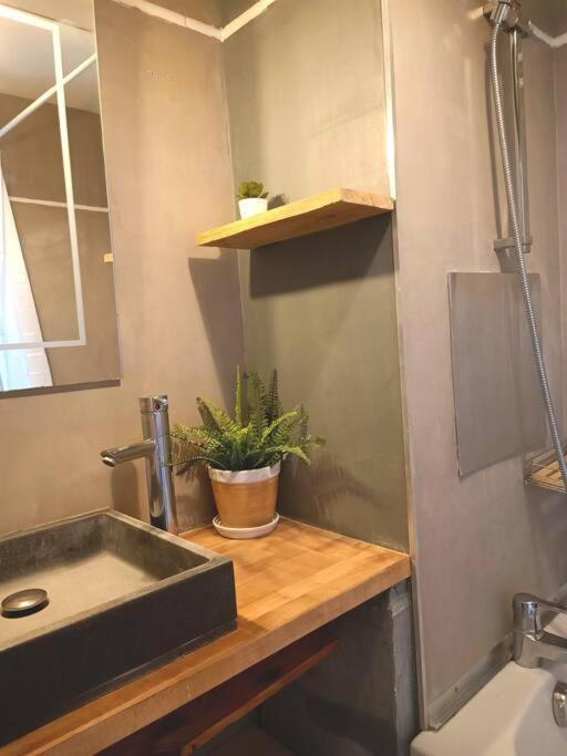 メクシミューLe Cosy Plein Centre Avec Terrasseアパートメント エクステリア 写真